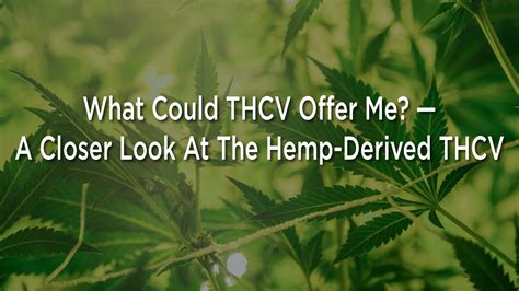 What Could THCV Offer Me? — A Closer Look At The Hemp-Derived THCV